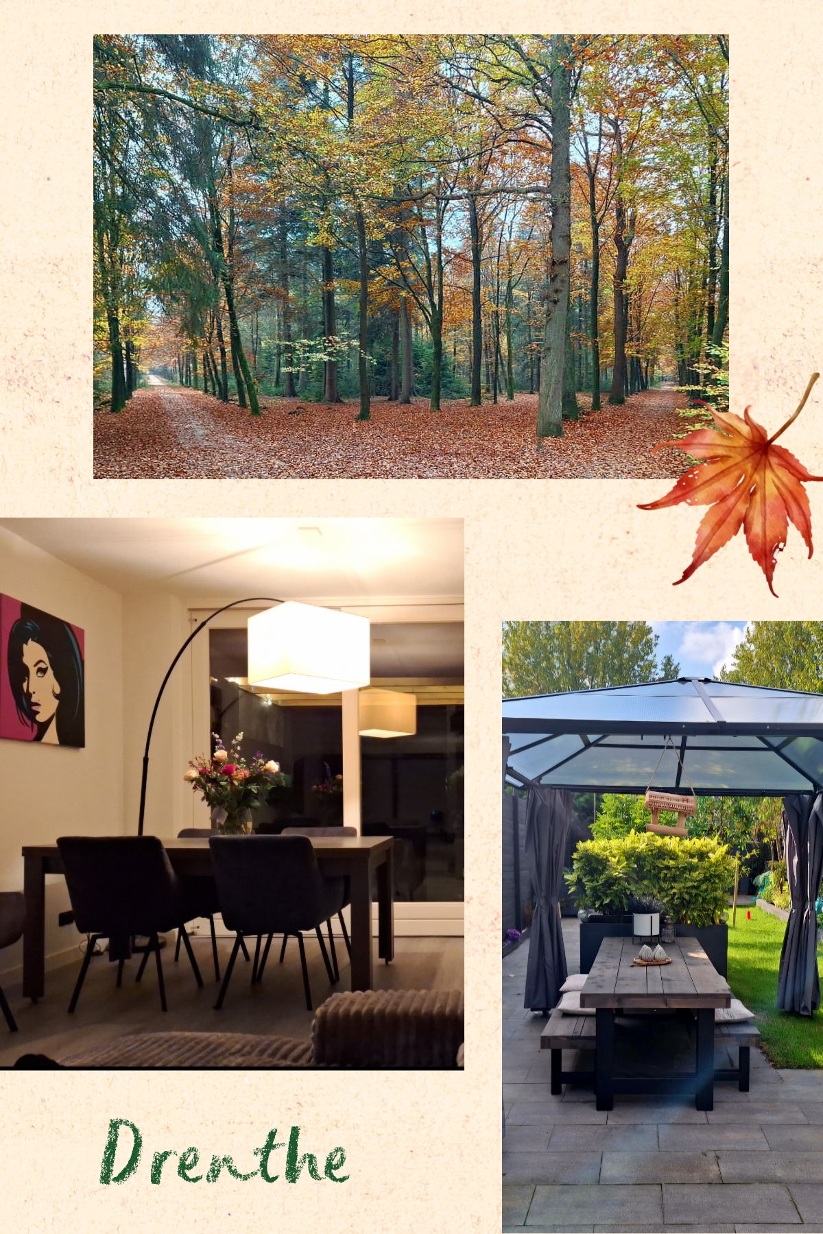 Natuurhuisje Drenthe