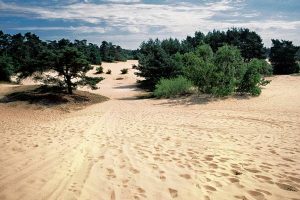 Zandverstuiving De Haere Doornspijk